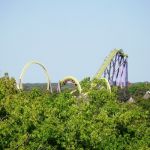 Six Flags Great Adventure - Medusa - 013
